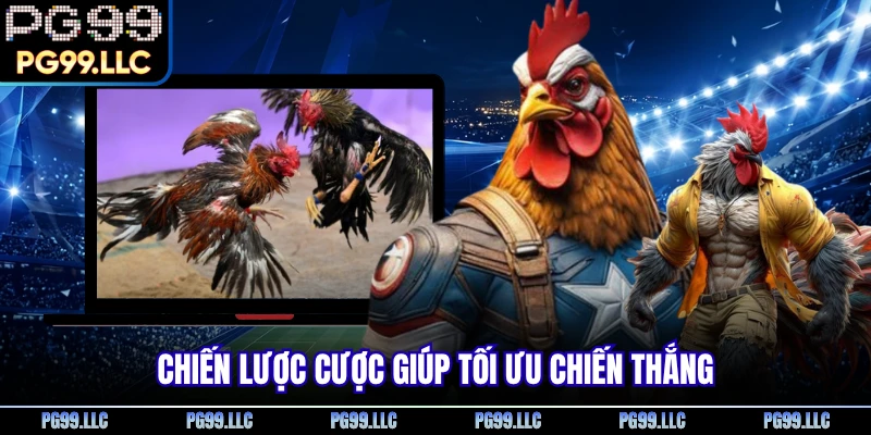 Chiến lược cược giúp tối ưu chiến thắng