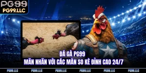 Đá Gà PG99 - Mãn Nhãn Với Các Màn So Kè Đỉnh Cao 24/7