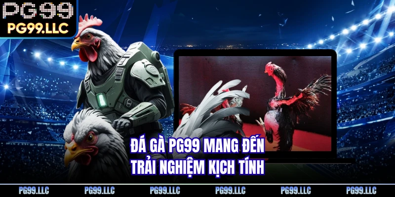 Đá gà PG99 mang đến trải nghiệm kịch tính